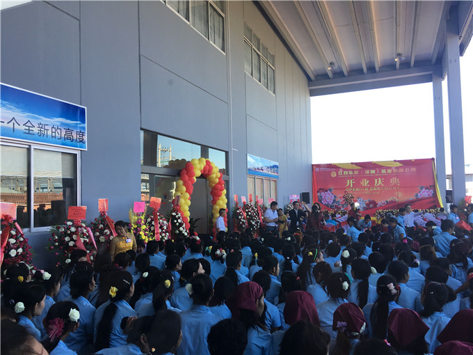 江苏弘业(缅甸)实业有限公司开业