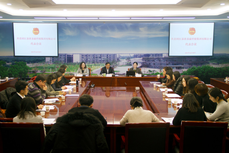 共青团苏豪控股集团代表会议顺利召开